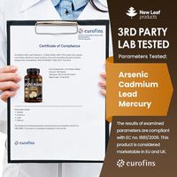 New Leaf Lions Mane Tablets